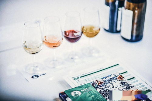 WSET在華暫停課程與考試，酒類培訓(xùn)機(jī)構(gòu)接受調(diào)查引發(fā)行業(yè)關(guān)注